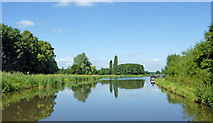 SJ9822 : Canal at Tixall Wide in Staffordshire by Roger  Kidd