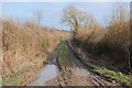 SO3850 : Footpath and track at Fenhampton by Philip Halling