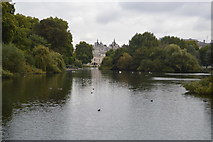 TQ2979 : Lake, St James's Park by N Chadwick