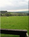 Collier Wood viewpoint