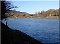 View NW across the tidal Newry River from Ferry Wood, Co Louth