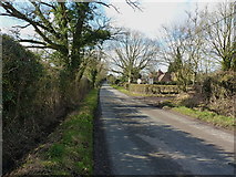 SP2580 : Along Back Lane towards Four Oaks by Richard Law