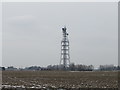 TF4213 : Telecommunications mast near Newton, Cambridgeshire by Richard Humphrey