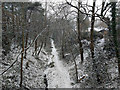 Old railway cutting west of Church Road, Worth