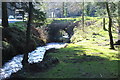 Nant-y-Tresglen above car park, Halfway Forest