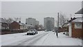 Snow in Coley Park