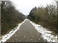 SJ8246 : Path and National Cycle Route at Silverdale by Jonathan Hutchins
