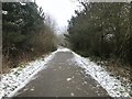 SJ8246 : Path and National Cycle Route at Silverdale by Jonathan Hutchins