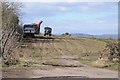 Lifting a root crop