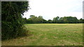 Footpath across a grassy field