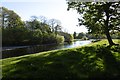 River Teith, Torr