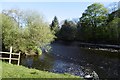 River Teith, Blair Drummond