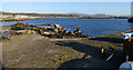 Millport harbour