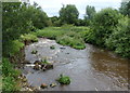 River Darwen at Lower Darwen