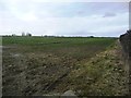 Farmland north of How Hill