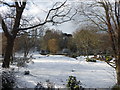 Rockliffe Gardens in winter