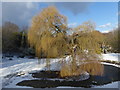 TQ4577 : Frozen pond in Rockliffe Gardens by Marathon