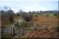 Footpath across Yelverton Golf Course