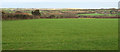 Farmland near the Amble