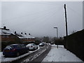The "Beast from the East" Haslemere 2018 (O)