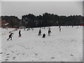 SZ0895 : Redhill: sledging on Redhill Park by Chris Downer