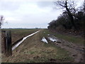 Far Drain at Thornton Lands