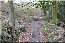 SX5178 : Bridleway to the River Tavy by N Chadwick
