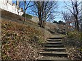 Path to the Back Walk