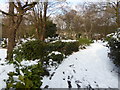 A snowy path in Rockliffe Gardens