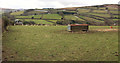 Sheep and feeder near Nattadon Common