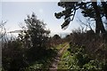 Footpath at Western Ledges, Rodwell