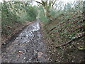 Boggy footpath from Rowbrow