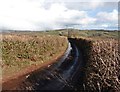 Coleford Hill