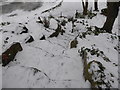 Snowy steps in Rockliffe Gardens