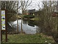 Pond by the Howe Park visitor centre