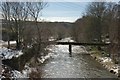 Gala Water from Winston Road bridge