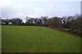 Field near Heywood Plantation