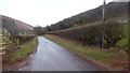 Road along the Ysgir Fechan valley