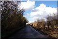 TL1320 : Chiltern Green Road, Chiltern Green by Geographer
