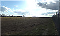 TL1220 : Field at Chiltern Hall by Geographer