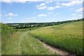 Ladies Walk bridlepath on the Swyncombe Estate