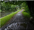 Muddy towpath along the Leeds and Liverpool Canal