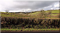 Farmland near Cutwellwalls