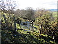 Llwybr i Priest Weston / Path towards Priest Weston