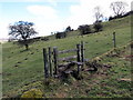 SO3097 : Llwybr cyhoeddus ger Mesgwyn / Public footpath near Maesgwyn by Alan Richards