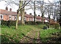 Path skirting the northern edge of Earlham Road cemetery