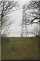 Gateway and pylon viewed from path in Wytham Park