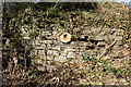 Dry Stane Dyke and Tree