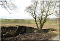 Recent walling repairs by Brown Bank Road