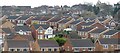 Upper Haugh roofscape